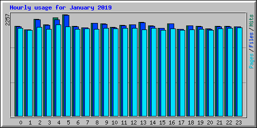Hourly usage for January 2019