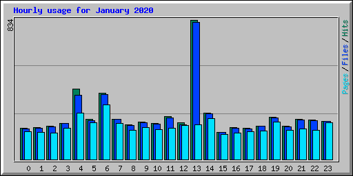 Hourly usage for January 2020